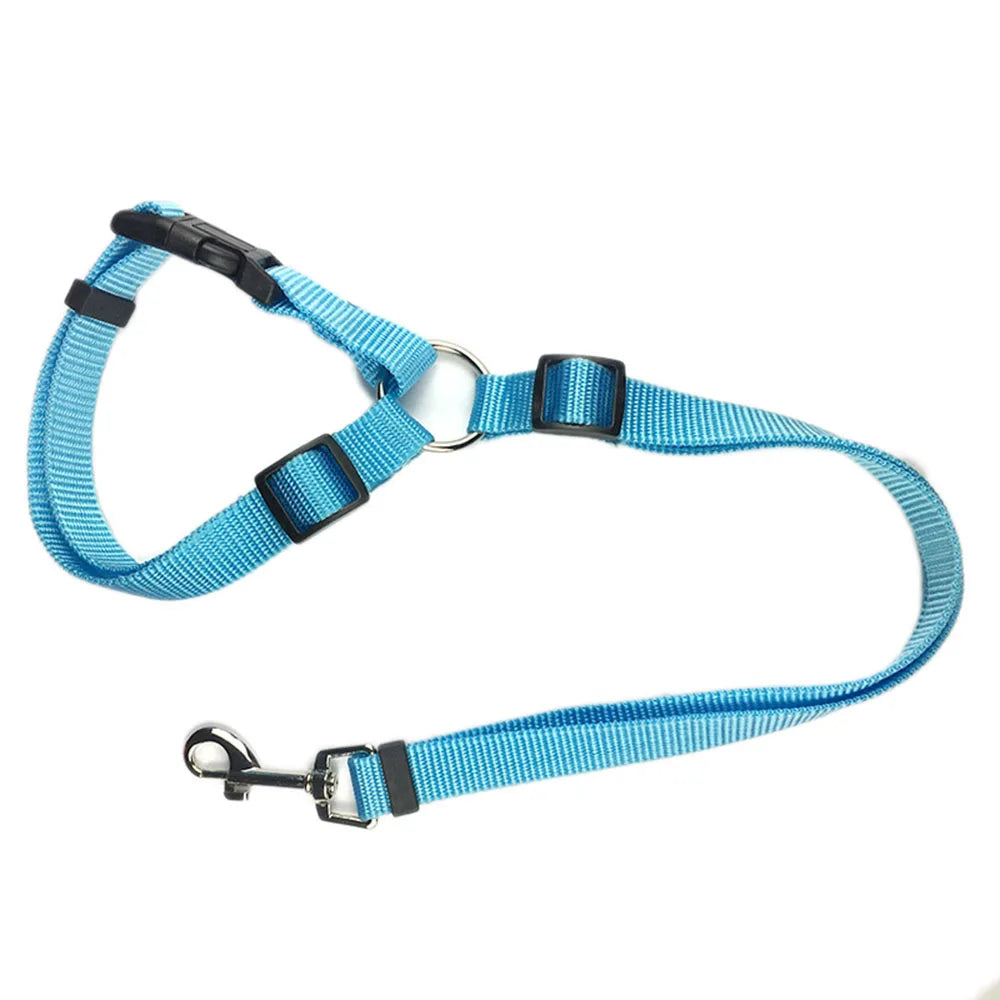 Two-in-one Nylon Adjustable Dogs Harness Collar Pet dog Accessories Pet Car Seat Belt Lead Leash Backseat Safety Belt - Color: CWQY-11-Sky Blue